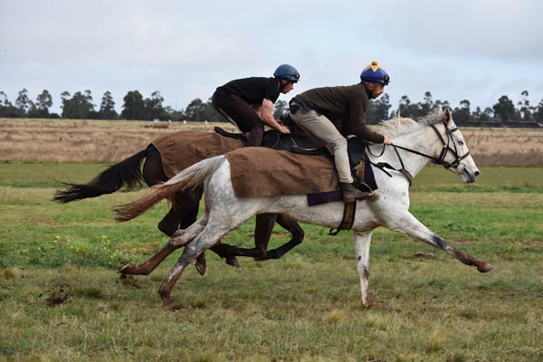 Patrick Payne Racing Patrick Payne Racing offers variety for horses with a practical paddock ...