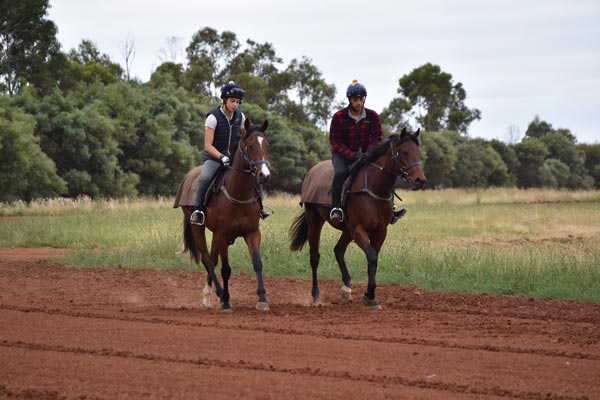 Patrick Payne Racing Patrick Payne Racing offers variety for horses with a practical paddock ...