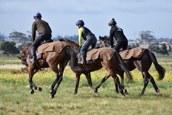 Patrick Payne Racing Patrick Payne Racing provides a variety of stabling options to suit all ...